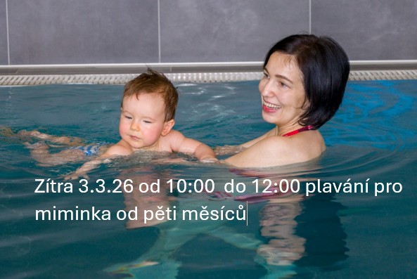 Snímek obrazovky 2026 03 02 145910