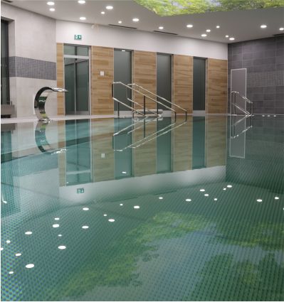 wellness